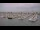 Webcam in Arcachon, 0 km entfernt