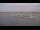 Webcam in Arcachon, 0 mi away