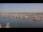 Webcam in Arcachon, 0 km entfernt