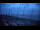 Webcam in Notre-Dame-de-Monts, 2.4 mi away