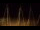 Webcam in Notre-Dame-de-Monts, 0 mi away