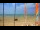Webcam in Notre-Dame-de-Monts, 7.7 km