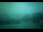 Webcam in Murmansk, 0 mi away