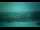 Webcam in Murmansk, 0.6 km