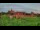 Webcam in Malbork, 239 km