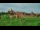 Webcam in Malbork, 121.2 km