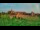 Webcam in Malbork, 52.3 km