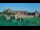 Webcam in Malbork, 242.2 km