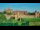 Webcam in Malbork, 239.7 km