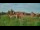 Webcam in Malbork, 45.7 mi away