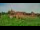 Webcam in Malbork, 54.1 km