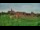 Webcam in Malbork, 54.1 km