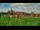 Webcam in Malbork, 46.9 km