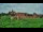 Webcam in Malbork, 19 mi away