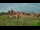 Webcam in Malbork, 239 km
