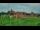 Webcam in Malbork, 49.2 km
