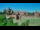 Webcam in Malbork, 52.4 km entfernt