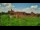 Webcam in Malbork, 42.3 km