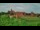 Webcam in Malbork, 45.7 mi away