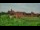 Webcam in Malbork, 121.2 km