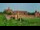 Webcam in Malbork, 42.3 km