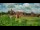 Webcam in Malbork, 92.2 mi away