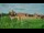 Webcam in Malbork, 92.2 mi away