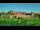 Webcam in Malbork, 52.3 km