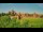 Webcam in Malbork, 54 km