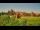 Webcam in Malbork, 239.2 km