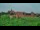 Webcam in Malbork, 240.9 km
