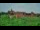 Webcam in Malbork, 34.9 km