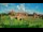 Webcam in Malbork, 54.1 km