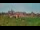 Webcam in Malbork, 92.2 mi away