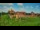 Webcam in Malbork, 239.7 km entfernt