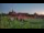 Webcam in Malbork, 13.5 mi away