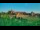 Webcam in Malbork, 52.4 km