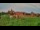 Webcam in Malbork, 42.3 km