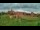 Webcam in Malbork, 49.2 km