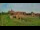 Webcam in Malbork, 20.9 mi away
