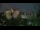 Webcam in Malbork, 49.2 km