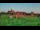 Webcam in Malbork, 52.3 km