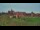 Webcam in Malbork, 100.7 km