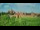 Webcam in Malbork, 45.7 mi away