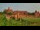 Webcam in Malbork, 240.7 km entfernt