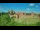 Webcam in Malbork, 92.5 mi away
