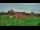 Webcam in Malbork, 54.1 km