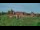 Webcam in Malbork, 239.7 km