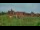 Webcam in Malbork, 118.5 km