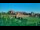 Webcam in Malbork, 42.3 km